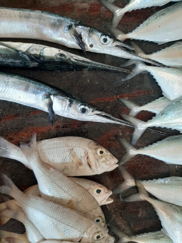 fresh fish market