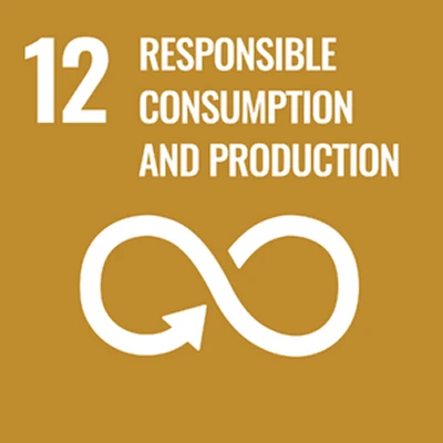 yellow icon showing sustainable development goal 12 responsible consumption and production