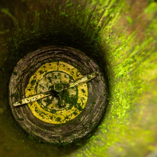 Leftover pounded cassava leaves in Rwanda