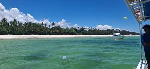 indian ocean beach and palm trees in kenya