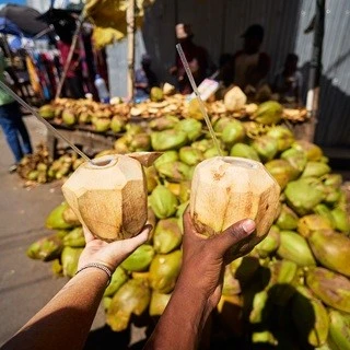 two hands hold fresh coconut
