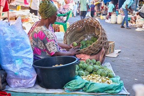 woman sits on ground with basket of custard apples